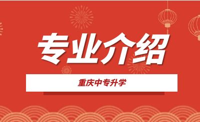 重慶市九龍坡職業教育中心物聯網應用技術專業介紹